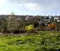 Снимка 4 — Парцел във Варна, Бяла