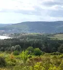 Парцел във Варна, Бяла