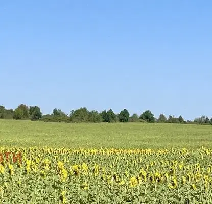 Photo 5 — Plot in Oblast Varna, Byala