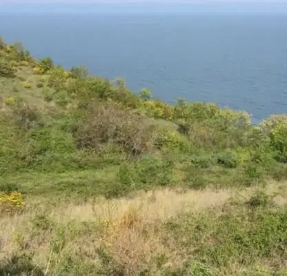 Photo 2 — Plot in Oblast Varna, Byala