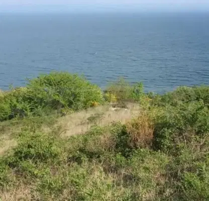 Photo 3 — Plot in Oblast Varna, Byala
