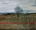 Снимка 3 — Парцел във Варна, Девня