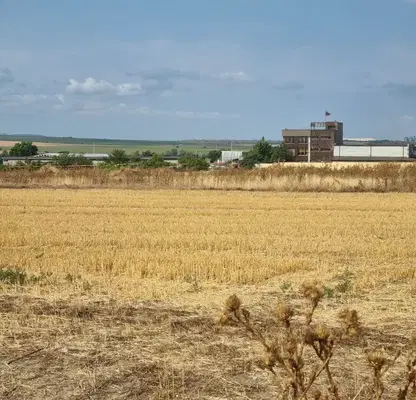 Photo 2 — Plot in Oblast Varna, Ignatievo