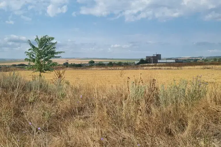 Plot in Oblast Varna, Ignatievo