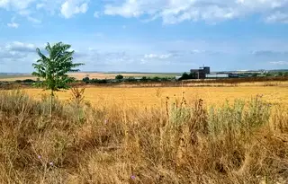 Парцел във Варна, Игнатиево