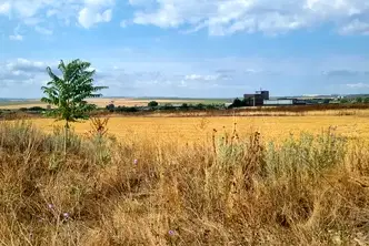 Парцел във Варна, Игнатиево
