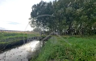 Парцел във Варна, Игнатиево