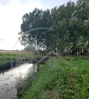 Парцел във Варна, Игнатиево