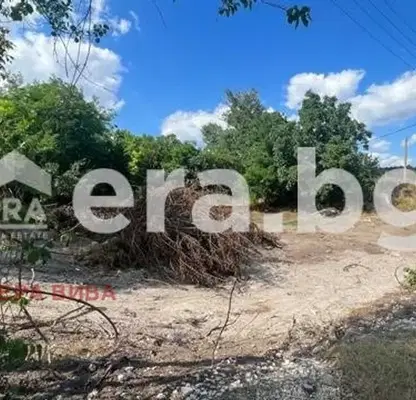 Photo 2 — Plot in Oblast Varna, Ignatievo