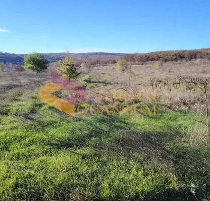 Photo 3 — Plot in Oblast Varna, Ignatievo