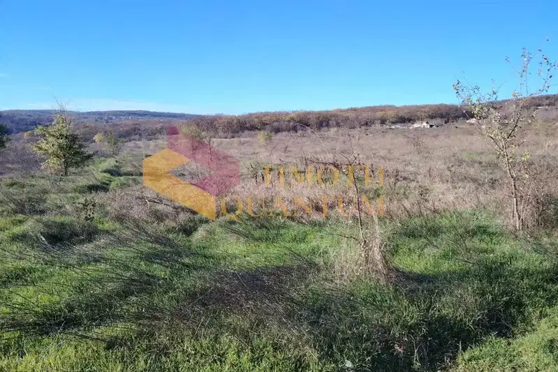 Plot in Oblast Varna, Ignatievo