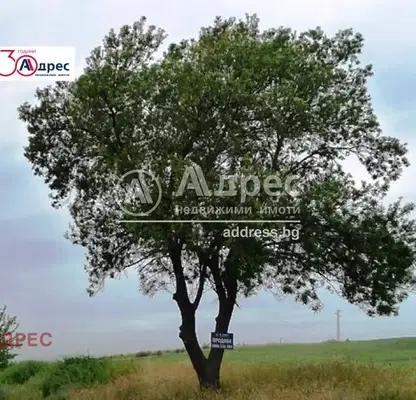 Photo 5 — Plot in Oblast Varna, Ignatievo