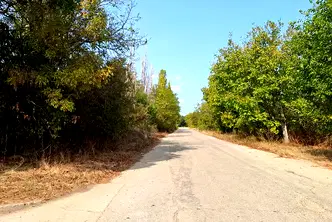 Парцел във Варна, Провадия