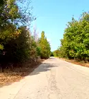 Парцел във Варна, Провадия