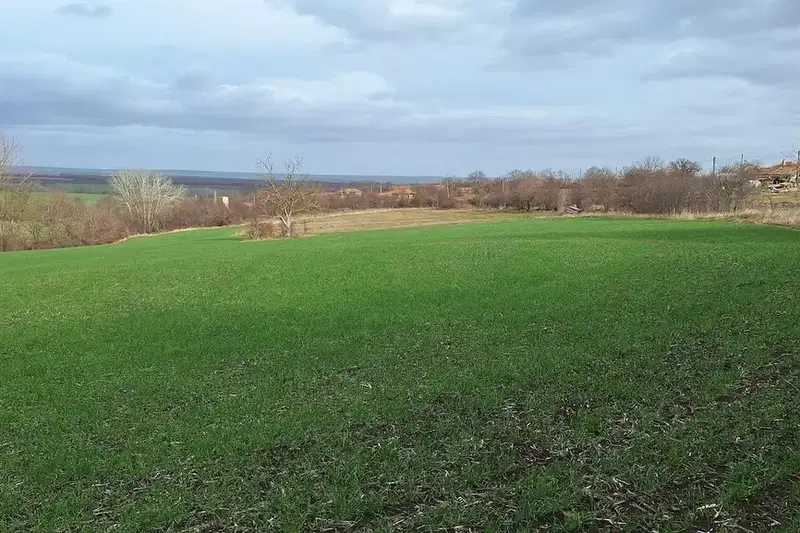 Plot in Oblast Varna, Provadiya