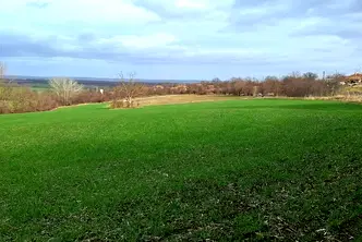 Парцел във Варна, Провадия