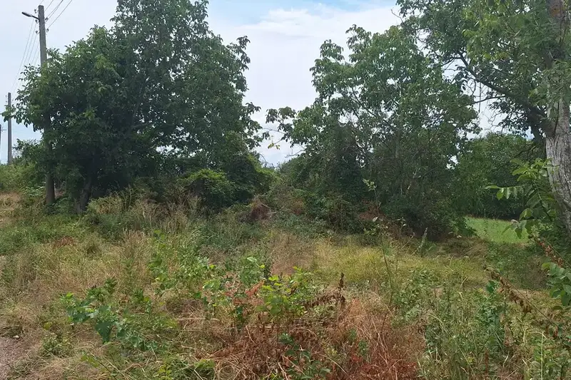 Plot in Oblast Varna, Provadiya