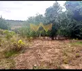 Снимка 3 — Парцел във Варна, Суворово