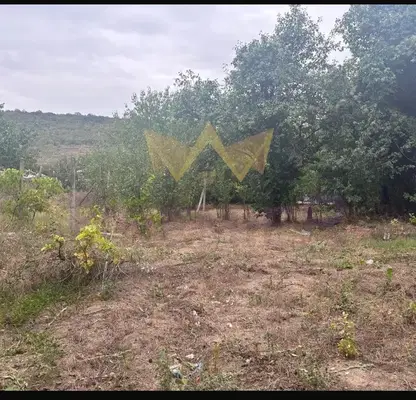 Photo 3 — Plot in Oblast Varna, Suvorovo