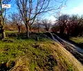 Снимка 3 — Парцел във Варна, с. Аврен