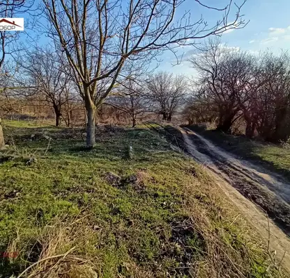 Photo 3 — Plot in Oblast Varna, Avren
