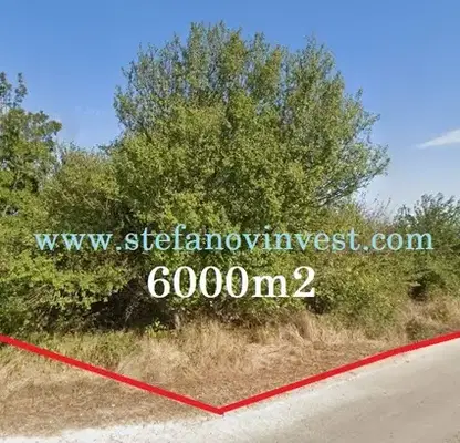 Photo 2 — Plot in Oblast Varna, Avren