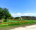 Снимка 2 — Парцел във Варна, с. Аврен