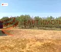 Снимка 4 — Парцел във Варна, с. Белоец