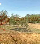 Парцел във Варна, с. Белоец