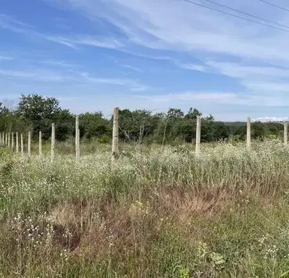 Photo 3 — Plot in Oblast Varna, Benkovski