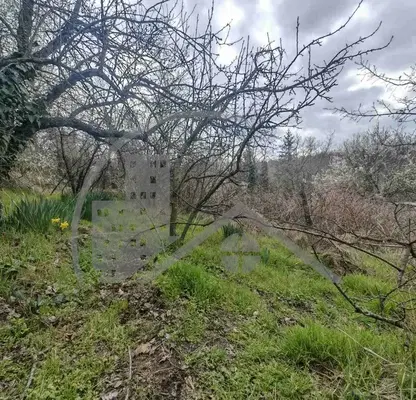 Photo 2 — Plot in Oblast Varna, Benkovski