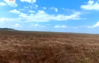 Парцел във Варна, с. Близнаци