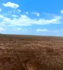 Парцел във Варна, с. Близнаци