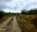 Снимка 4 — Парцел във Варна, с. Близнаци