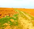 Снимка 3 — Парцел във Варна, с. Близнаци