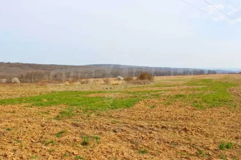 Plot in Oblast Varna, Bliznaci