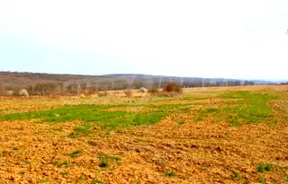 Парцел във Варна, с. Близнаци