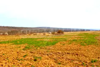 Парцел във Варна, с. Близнаци