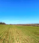 Парцел във Варна, с. Близнаци