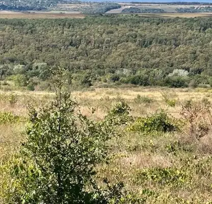 Photo 2 — Plot in Oblast Varna, Bliznaci