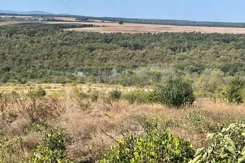 Plot in Oblast Varna, Bliznaci