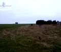 Снимка 2 — Парцел във Варна, с. Близнаци