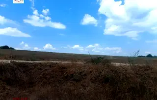 Парцел във Варна, с. Близнаци