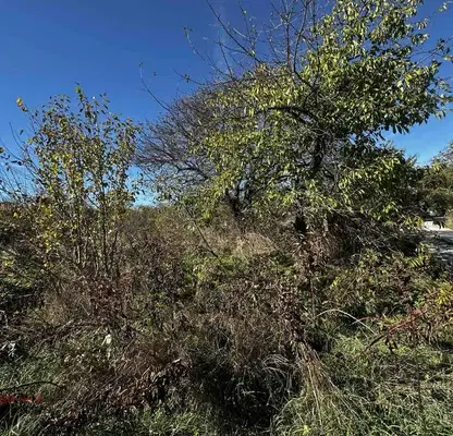 Photo 2 — Plot in Oblast Varna, Bolyarci