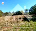 Снимка 3 — Парцел във Варна, с. Бърдарево
