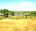 Снимка 4 — Парцел във Варна, с. Чернево