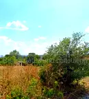 Парцел във Варна, с. Чернево
