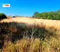 Снимка 2 — Парцел във Варна, с. Чернево
