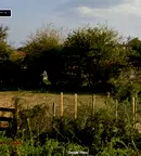 Парцел във Варна, с. Цонево