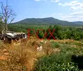 Снимка 3 — Парцел във Варна, с. Дебелец
